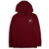 VANS Boys' Print Box Back Pullover Hoodie