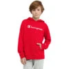 CHAMPION Kids' French Terry Hoodie -Activewear Of Kid Shop 2084953 601 main