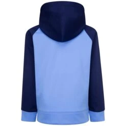 NIKE Kids' Colorblock Therma-FIT Pullover Hoodie -Activewear Of Kid Shop 2085775 404 alt1