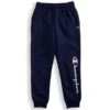 CHAMPION Boys' Powerblend Fleece Joggers 1 CHAMPION Boys' Powerblend Fleece Joggers -Activewear Of Kid Shop 2087030 402 main